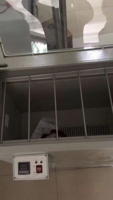 HDG-200C four à séchage de film infrarouge 220V 2000W