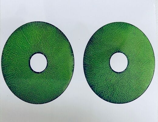 Bloc de référence Type 1 EN ISO 9934-2