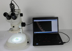 Microscope stéréoscopique numérique HSM-645S avec caméra 3MP
